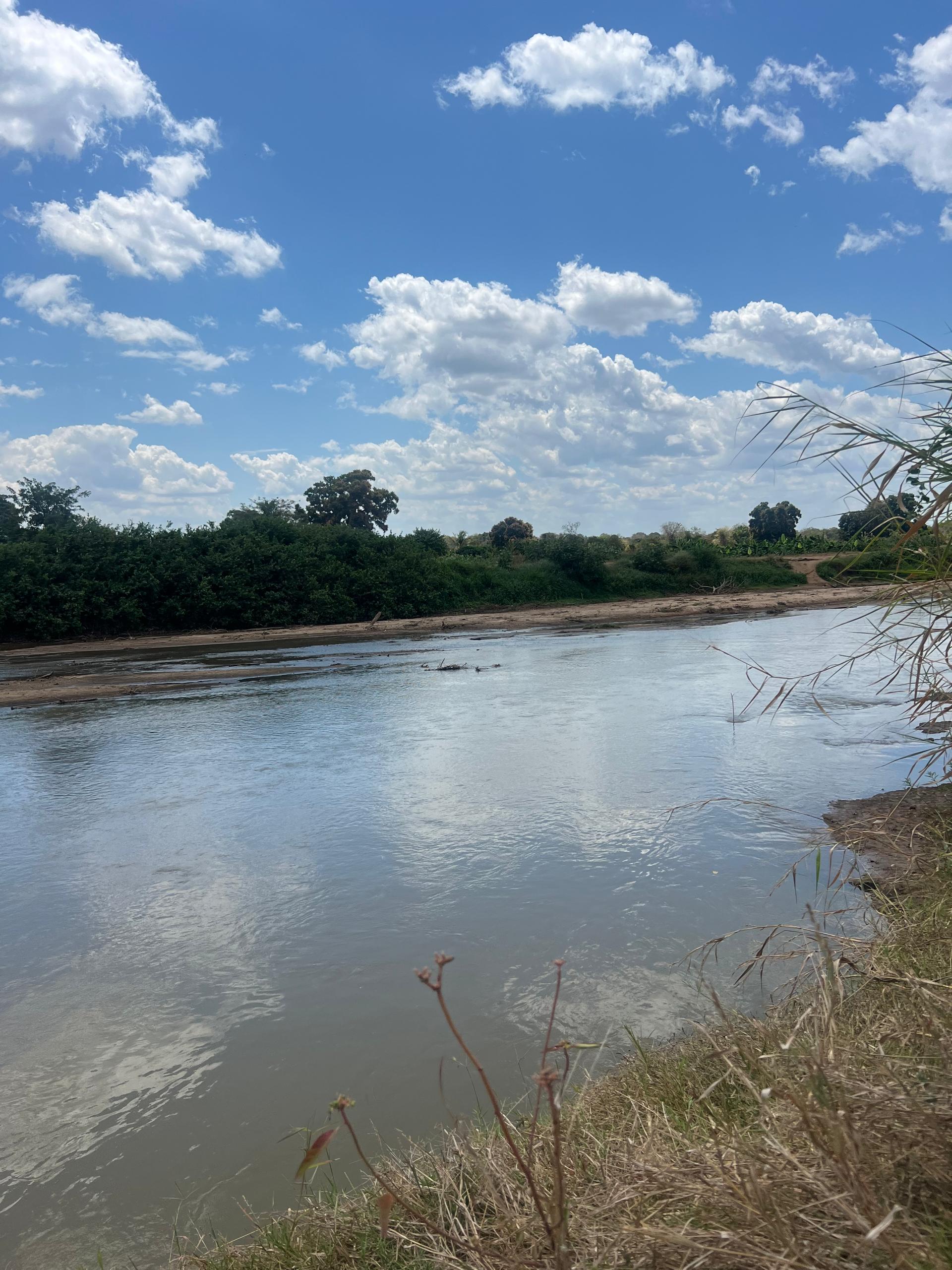 Forest Walks & Ruvu River
