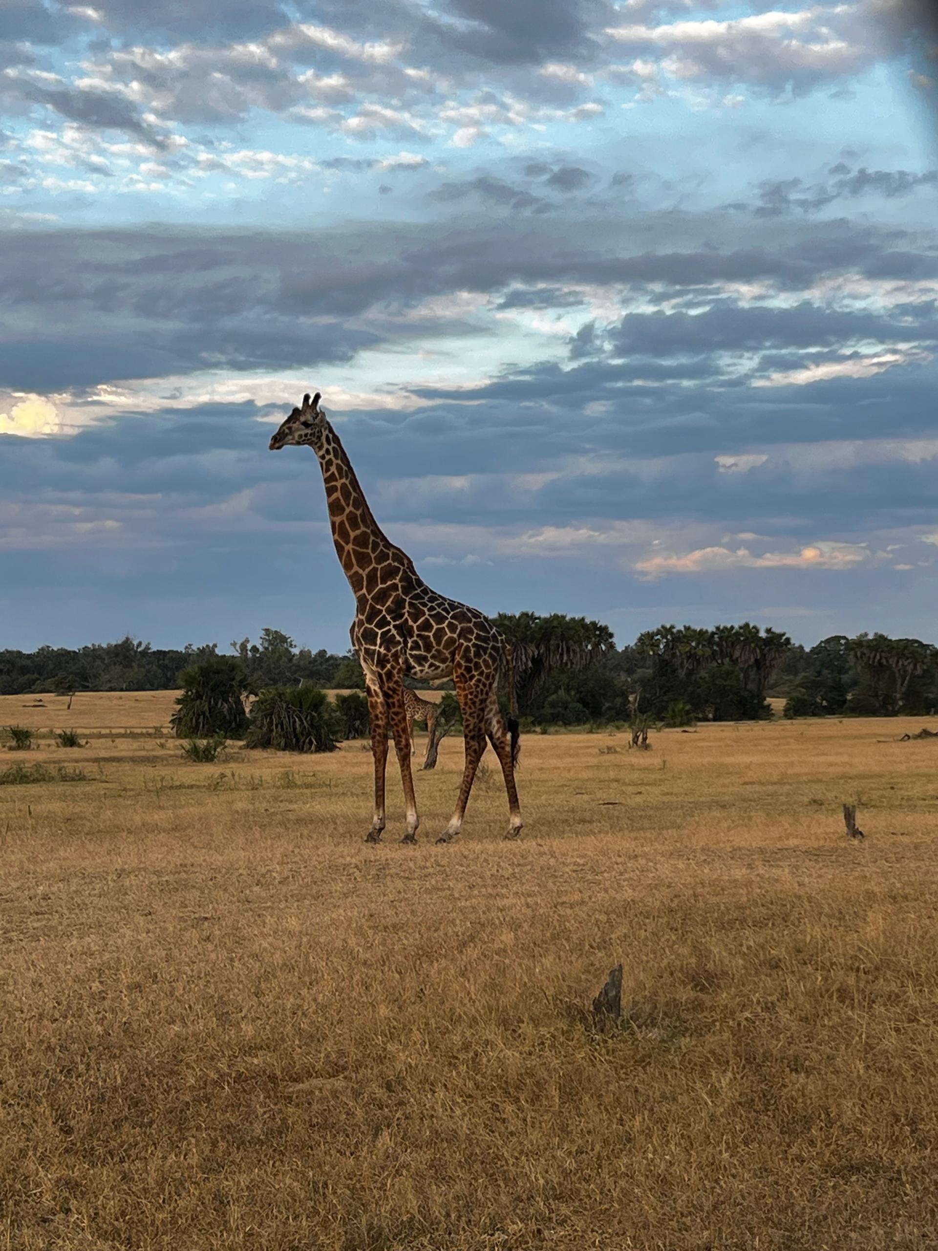 Packing for a Southern Tanzania Safari